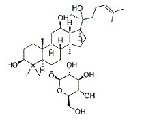 参皂苷Rh1；参皂甙Rh1 
