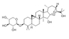 升麻醇-3-O-β-D-吡喃木糖苷；升麻环氧醇苷