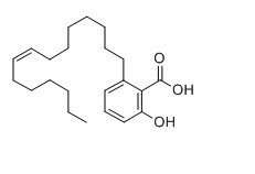 银杏酸（C15：1）;白果新酸；银杏酸