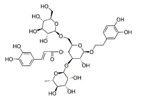 松果菊苷；紫锥花苷、海胆苷