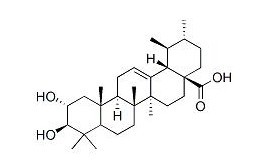 科罗索酸；2-alpha-羟基熊果酸