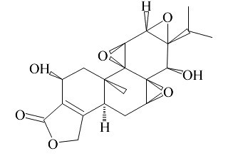 雷公藤乙素；雷公藤羟内酯，雷公藤内酯二醇
