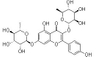  山奈苷；山奈酚-3,7-O-L-二鼠李糖苷