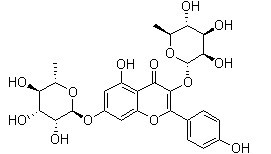 山奈苷；山奈酚-3,7-O-L-二鼠李糖苷